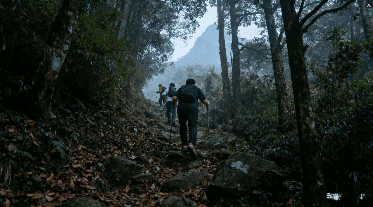 白鲸加速器最新版免费下载，体验高速网络